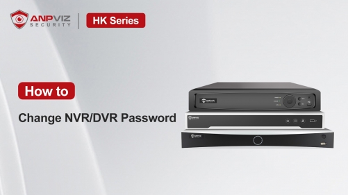 How to change DVR/NVR system password(H Series)